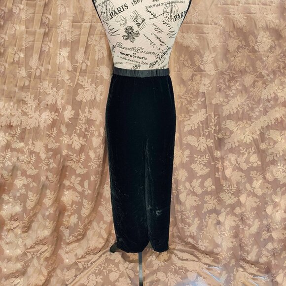 Diane Von Furstenberg Silk Assets Velvet Pants, Size 1X, Used - Picture 2 of 5